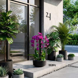 Purple Phalaenopsis Orchid Arrangement – Triple Stem Signature Design