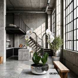 White orchids in a metallic planter inside a modern concrete room.