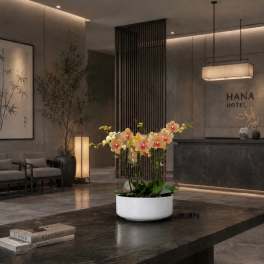 Peach Phalaenopsis Orchid Arrangement – 5 Stem Elegant Design