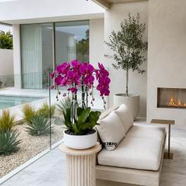 Potted magenta orchids on a small table beside a beige sofa