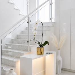 White Phalaenopsis Orchid Arrangement – Single Stem Minimal Luxury