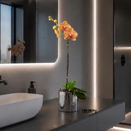 Potted orchid with orange blooms in a silver container on a countertop
