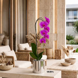 Purple Phalaenopsis Orchid Arrangement – Single Stem Signature Design