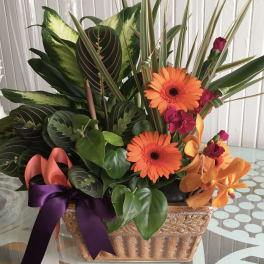 Tropical flower arrangement with orange gerbera daisies in a decorative basket