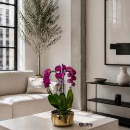 Potted purple orchids in a gold planter on a low table