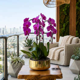 Purple orchids in a gold pot on a wooden table