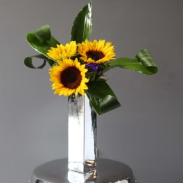 Sunflowers arranged in a tall mirrored vase with curled green leaves