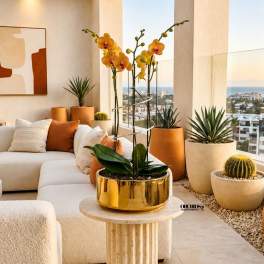 Peach Phalaenopsis Orchid Arrangement – Triple Stem Designer Arrangement