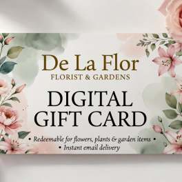 Digital Gift Card
