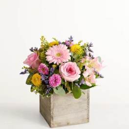 Spring Sentiment