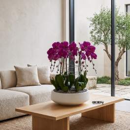 Potted purple orchids in a white bowl planter on a wooden table