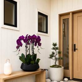 Purple orchids in a black planter beside a small potted tree and lantern