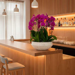 Potted purple orchids in a white bowl planter on a wooden counter
