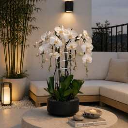 White orchids in a black pot on a round table with a candle and books
