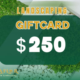 Landscaping gift card for $250 over grass and stones