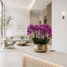 Purple Phalaenopsis Orchid Arrangement – 7 Stem Exclusive Design