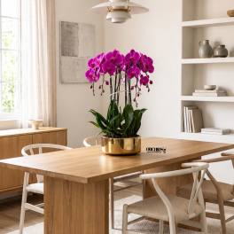 Purple Phalaenopsis Orchid Arrangement – 6 Stem Exclusive Design