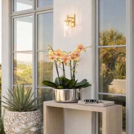 Potted orchid arrangement in a silver planter beside a console table