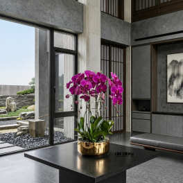 Potted purple orchids in a gold planter on a black table