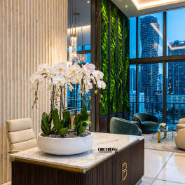 White orchids arranged in a shallow white planter on a lobby table