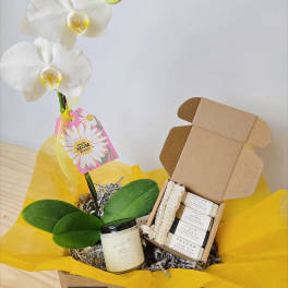 White orchid stem in a gift box with candles and soap bars