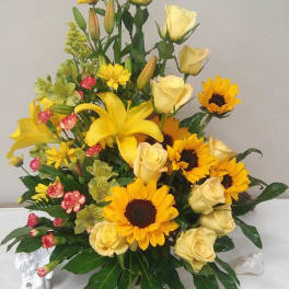 Garden Of Sunshine