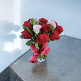 Pink and Red Roses