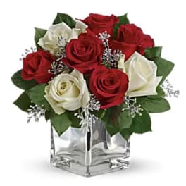 Compact arrangement of red and white roses in a clear glass cube vase with silver accents