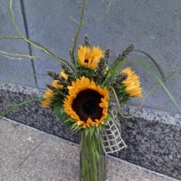 Sunflower arrangement in a tall glass vase with curly grass accents