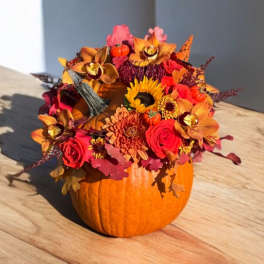 Pumpkin Season