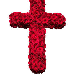 Red Rose Cross