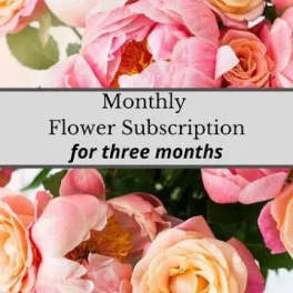 Pink and peach roses with text for a monthly flower subscription