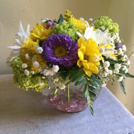 Springtime Surprise