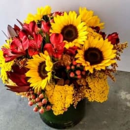 Bouquet of sunflowers, red alstroemeria, and yellow mums in a dark vase
