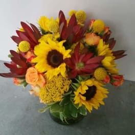 Bouquet of sunflowers, red blooms, and peach roses in a glass vase