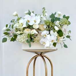 White orchid and rose arrangement in a rectangular vase