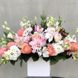 Spring Bloom