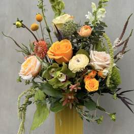 Moxie
