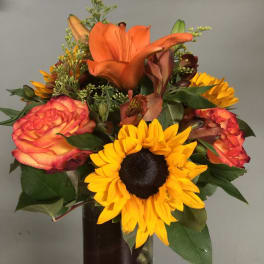 Blossoming Orange