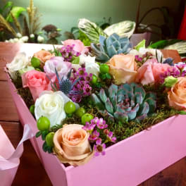 Pink box arrangement with roses, succulents, and small purple flowers