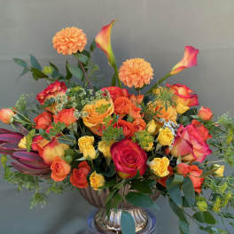 Glory Orange