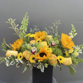 Luminous Sunny
