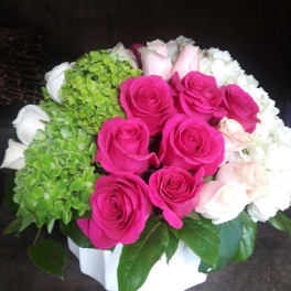 Abundant Roses