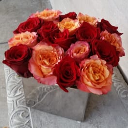 Bouquet of red and peach roses in a square vase