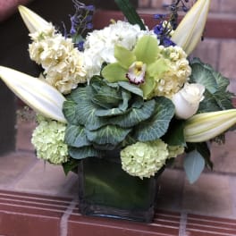Farmers Garden