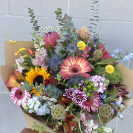 Big Dreamer