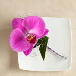 Pink orchid bloom on a white square plate