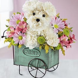 Pup in a Flower Cart