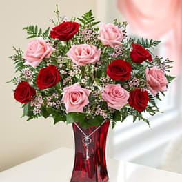 V12 Shades of Pink/Red
