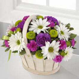Basket of white daisies and purple carnations
